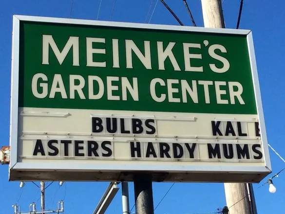 Meinke Garden Center – Bulbs Kal Asters Hardy Mums