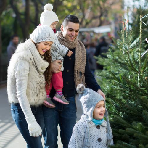 happy-family happy-family